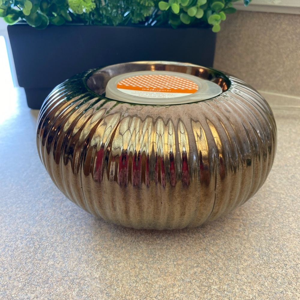 Gold Canyon wax warmer with wax melt